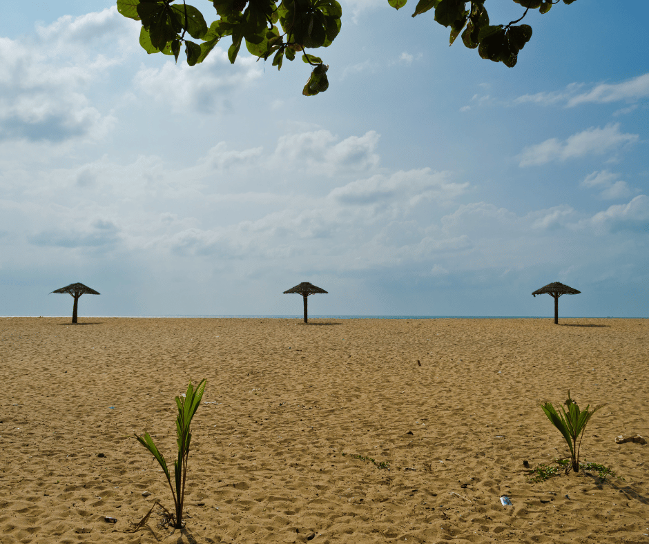  Cherai Beach